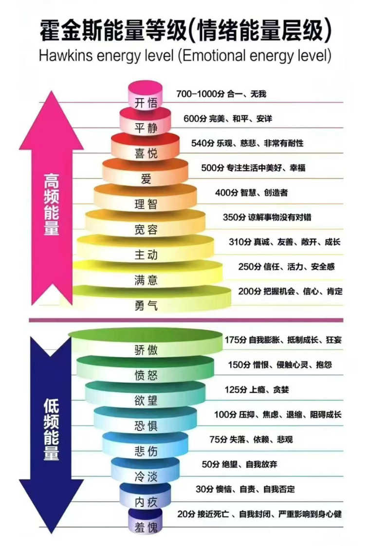 提升自身能量层级，在动联文化城市服务商赛道活出高频人生